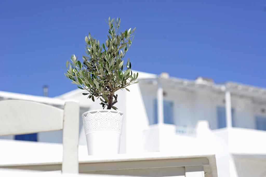 Alikí Galatis Beach Hotel מראה חיצוני תמונה